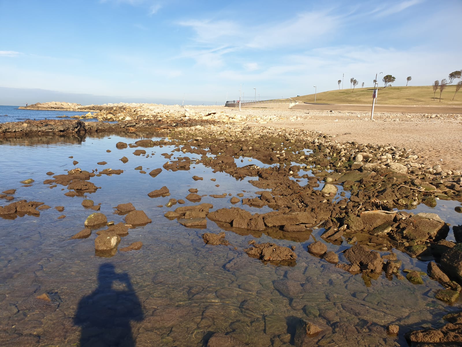 WhatsApp Image 2020-01-27 at 9.05.17 AM.jpeg.jpeg